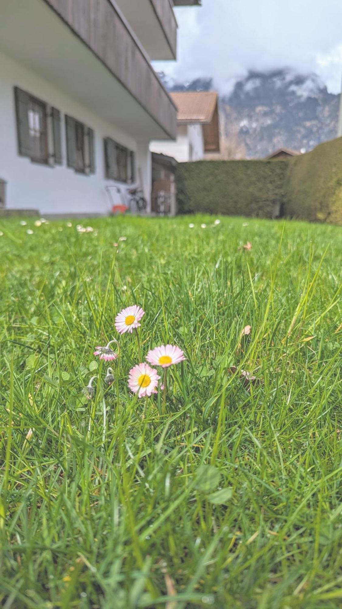 Calm Gap Apartment Garmisch-Partenkirchen Ngoại thất bức ảnh